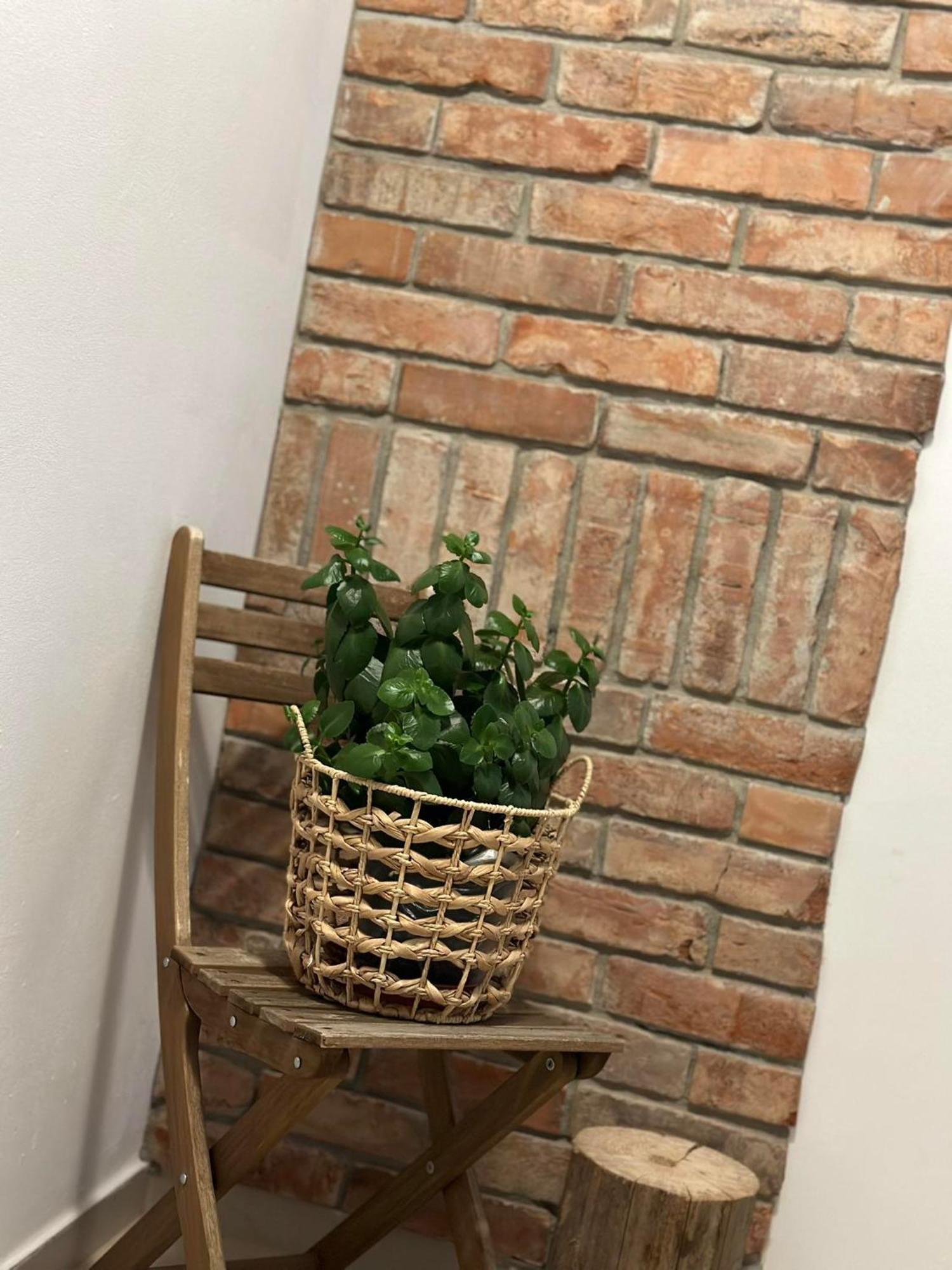 Apartament Fajny Kat Ustrzyki Dolne Exterior photo